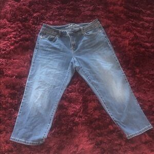 INC International Concepts Blue Denim Jeans, CURVY